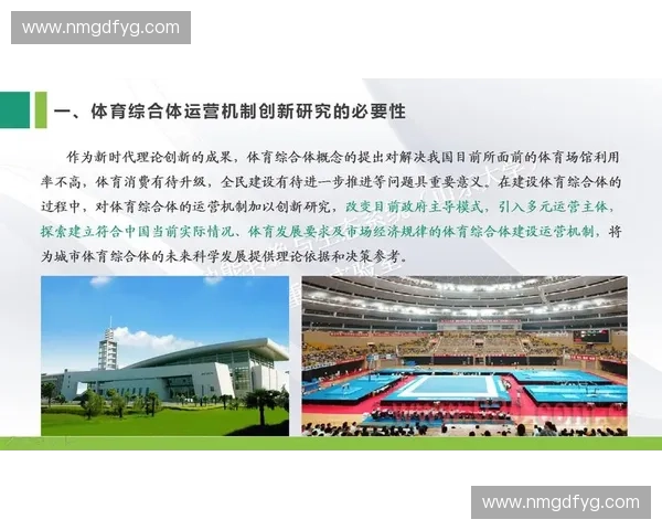 体育生态联盟引领行业创新发展与可持续生态建设探索