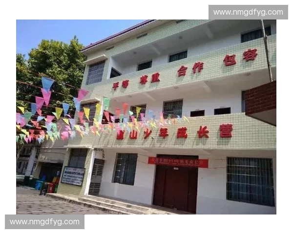 激发少年潜能打造沉浸式体育户外营成长挑战探索新体验计划课程